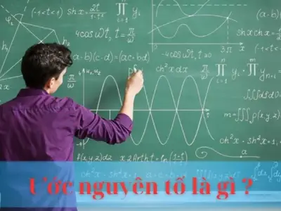 Ước nguyên tố là gì : Định nghĩa và ứng dụng thực tế