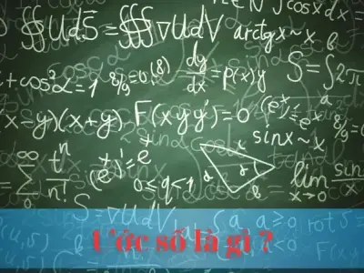 Ước số là gì : Giải mã bí ẩn về các con số