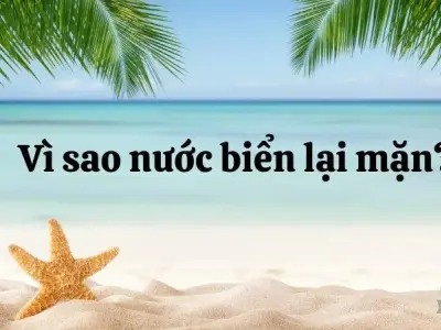 Giải đáp thắc mắc vì sao nước biển lại mặn?