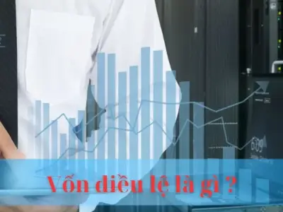 Giải mã chi tiết Vốn điều lệ là gì ? Hướng dẫn đầy đủ cho doanh nghiệp
