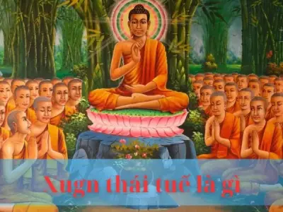 Xung thái tuế là gì : Cách hóa giải hiệu quả nhất