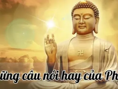 99+ câu nói của Phật về cuộc sống hay và vô cùng ý nghĩa