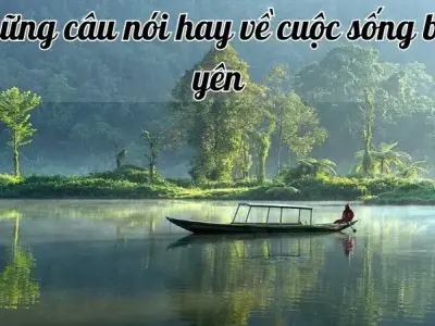99+ Câu nói hay về cuộc sống bình yên sẽ khiến cuộc đời bạn nhẹ nhàng hơn