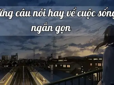 Top 99+ câu nói hay về cuộc sống ngắn gọn giúp bạn sống mạnh mẽ hơn
