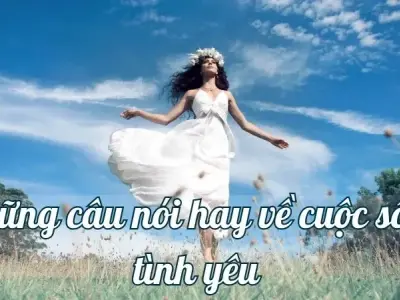 Những câu nói hay về cuộc sống tình yêu mang lại nhiều cảm xúc