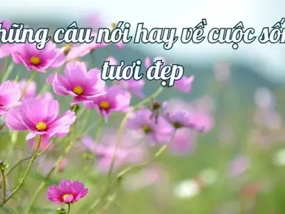 Top những câu nói hay về cuộc sống tươi đẹp bạn nên tham khảo