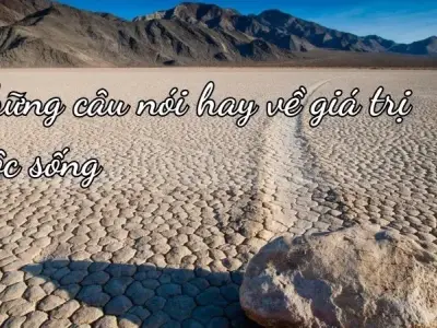 Top 99+ những câu nói hay về giá trị cuộc sống giúp bạn sống tốt đẹp hơn