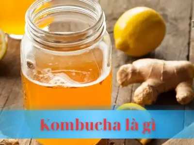 Kombucha là gì?: Giải mã bí ẩn và khám phá lợi ích tuyệt vời