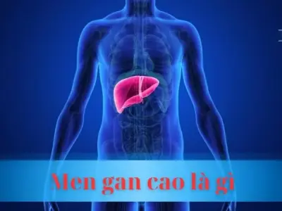 Men gan cao là gì? Nguyên nhân và cách phòng ngừa hiệu quả