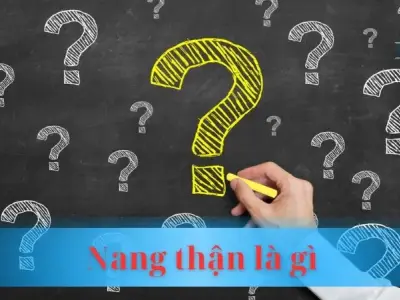 Nang thận là gì? Giải mã bí ẩn của bóng nước trên thận