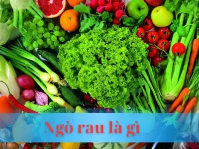 Ngò là rau gì? Giải mã bí ẩn của loại rau thơm nức lòng người