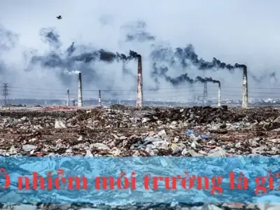 Ô nhiễm môi trường là gì - Giải pháp bảo vệ môi trường hiệu quả