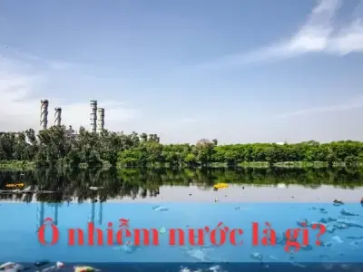 Ô nhiễm nước là gì? Giải mã hiểm họa và giải pháp bảo vệ nguồn nước