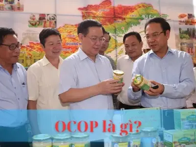 OCOP là gì? Giải mã chương trình một sản phẩm một mã số