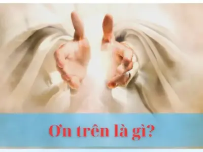 Ơn trên là gì? Giải mã lòng biết ơn và sức mạnh của niềm tin