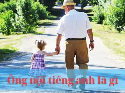 Ông nội tiếng anh là gì? Cách gọi chuẩn xác và thể hiện sự tôn trọng