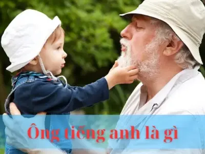 Ông tiếng anh là gì ? Cách gọi chuẩn xác trong mọi trường hợp