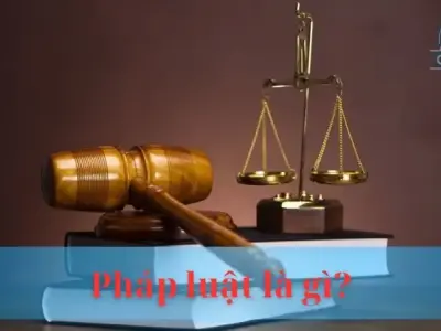 Pháp luật là gì? Cánh cửa dẫn đến trật tự và công bằng cho xã hội