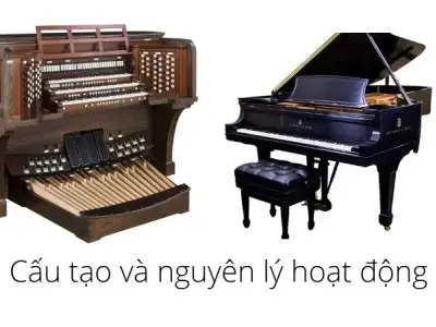 Piano và Organ khác nhau như thế nào - Lựa chọn nhạc cụ phù hợp