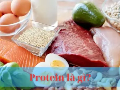 Protein là gì? Chìa khóa cho cơ thể khỏe mạnh và dẻo dai