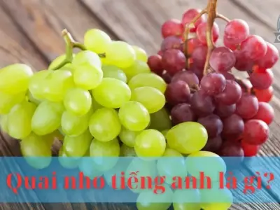 Quả nho tiếng Anh là gì? Giải mã bí ẩn về loại trái cây thơm ngon