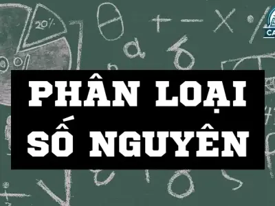 Số nguyên là số như thế nào? Các tính chất cơ bản của số nguyên