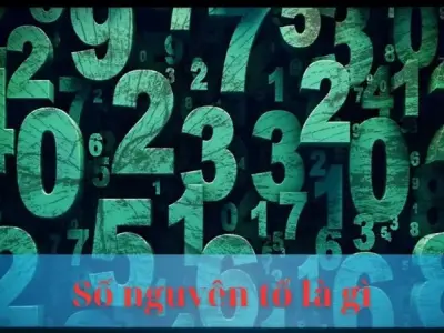Số nguyên tố là gì? Khám phá thế giới bí ẩn của những con số đặc biệt