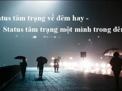 Những status tâm trạng về đêm hay mang lại cho bạn nhiều cảm xúc