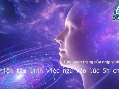 Quan niệm tâm linh việc ngủ vào lúc 5h chiều - Tầm quan trọng của nhịp sinh học