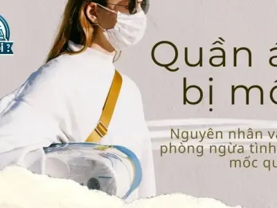  Nguyên nhân và cách phòng ngừa tình trạng quần áo bị mốc