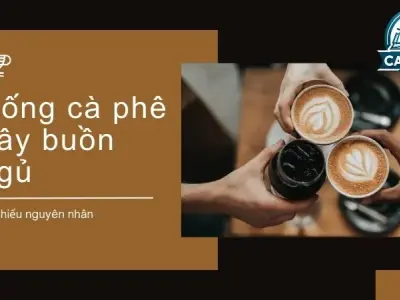 Uống cà phê gây buồn ngủ - Tìm hiểu nguyên nhân