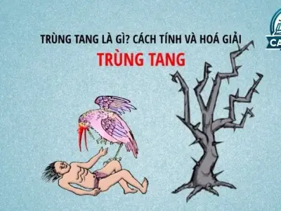 Trùng tang là như thế nào? Cách hóa giải trùng tang