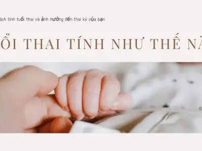 Tuổi thai được tính như thế nào? Cách tính tuổi thai theo ngày quan hệ