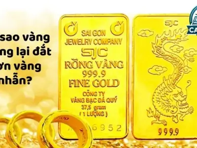 Giá trị của vàng miếng - Tại sao vàng miếng lại đắt hơn vàng nhẫn