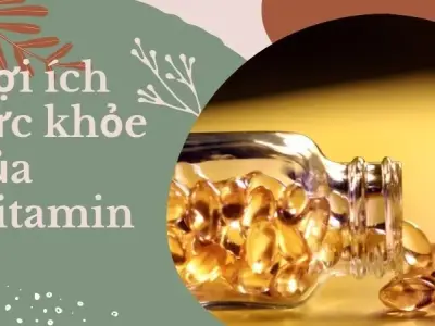 Uống vitamin e như thế nào để đẹp da - Uống vitamin E mỗi ngày được không