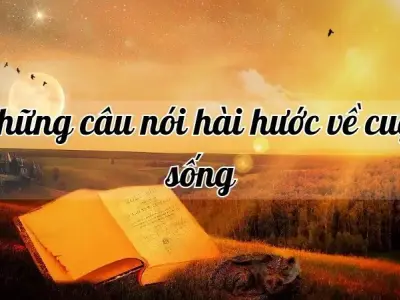 Những câu nói hài hước về cuộc sống giúp bạn giải tỏa căng thẳng và mệt mỏi