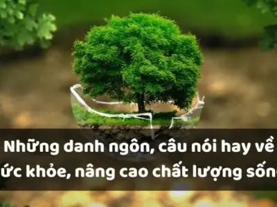 Những câu nói hài hước về sức khỏe giúp bạn vui vẻ mỗi ngày 