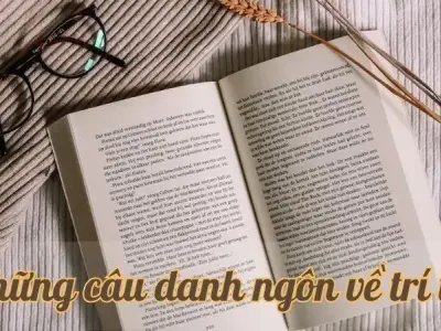 Danh ngôn về trí tuệ giúp bạn có cái nhìn sâu sắc hơn về cuộc sống