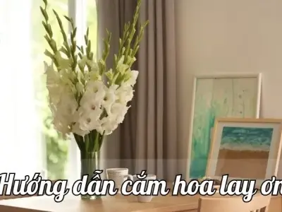 Hướng dẫn cắm hoa lay ơn đẹp tạo điểm nhấn cho nhà của bạn