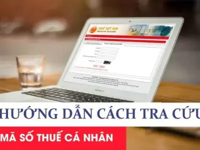 Hướng dẫn tra mã số thuế cá nhân nhanh chóng và chính xác nhất