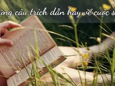Top 59+ những câu trích dẫn hay về cuộc sống sẽ khiến bạn suy ngẫm