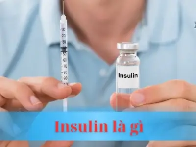 Giải mã Insulin là gì? Bí quyết để kiểm soát đường huyết