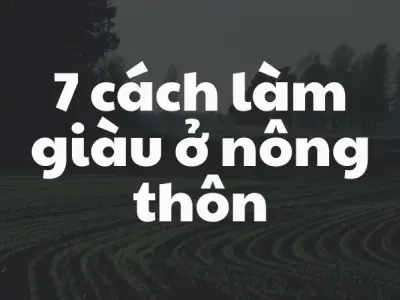 7 cách làm giàu ở nông thôn đầy tiềm năng mang lại hiệu quả cao