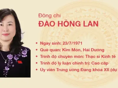 Tiểu sử ủy viên Đào Hồng Lan