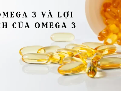 Bật mí cách uống Omega 3 để cải thiện sức khỏe tốt nhất