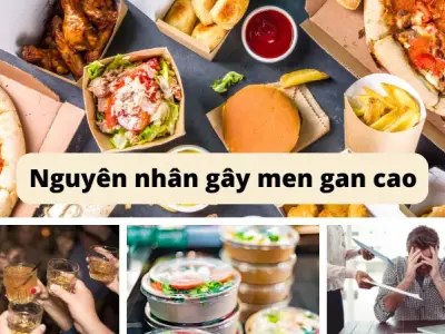 Top 9 cách hạ men gan tự nhiên tại nhà hiệu quả