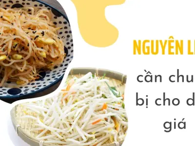 Cách làm dưa giá giòn, ngon chỉ trong 15 phút