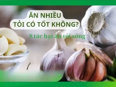 Ăn nhiều tỏi sống có sao không? 8 tác hại khi ăn nhiều tỏi sống