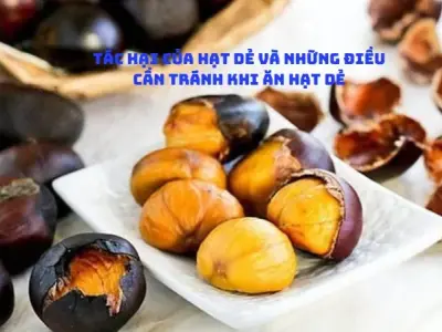 Tác hại của hạt dẻ và những điều cần tránh khi ăn hạt dẻ