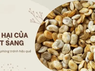 Hạt sang là gì? Tác hại của hạt sang mà bạn nên biết